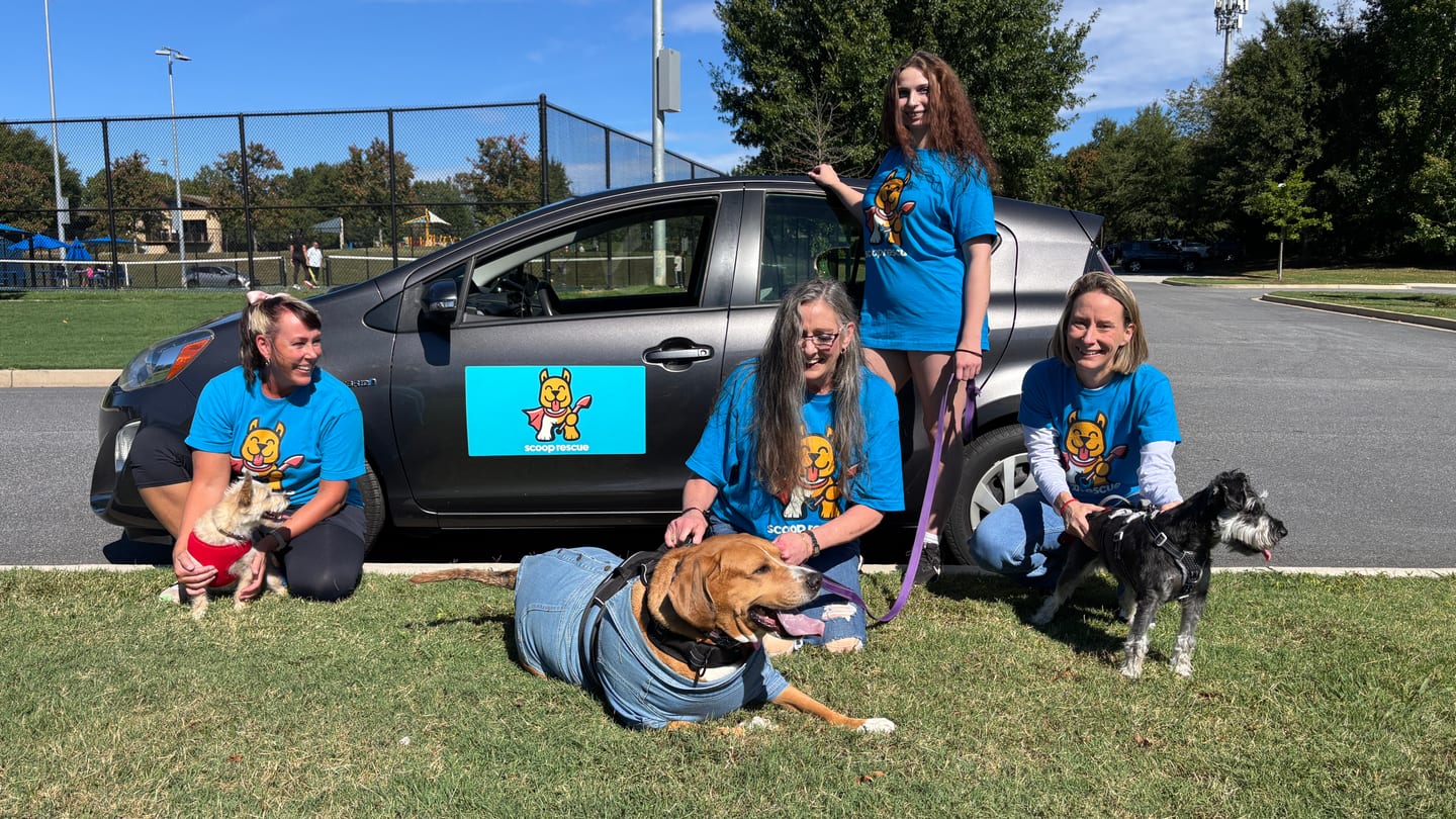 Four people in blue Scoop Rescue shirts with three dogs beside the branded car.