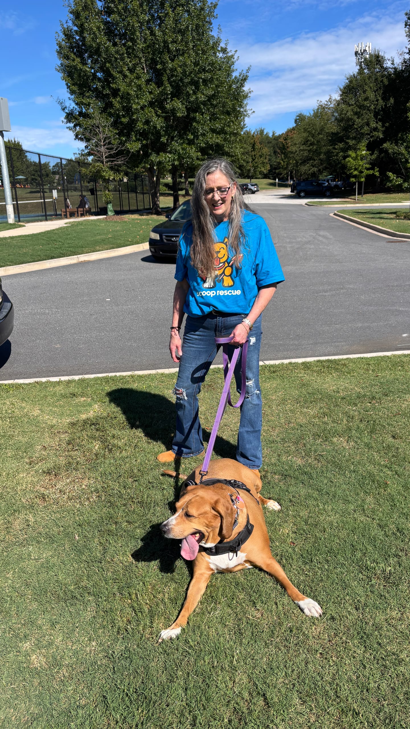 Person wearing a Scoop Rescue shirt holding the leash of a brown dog.