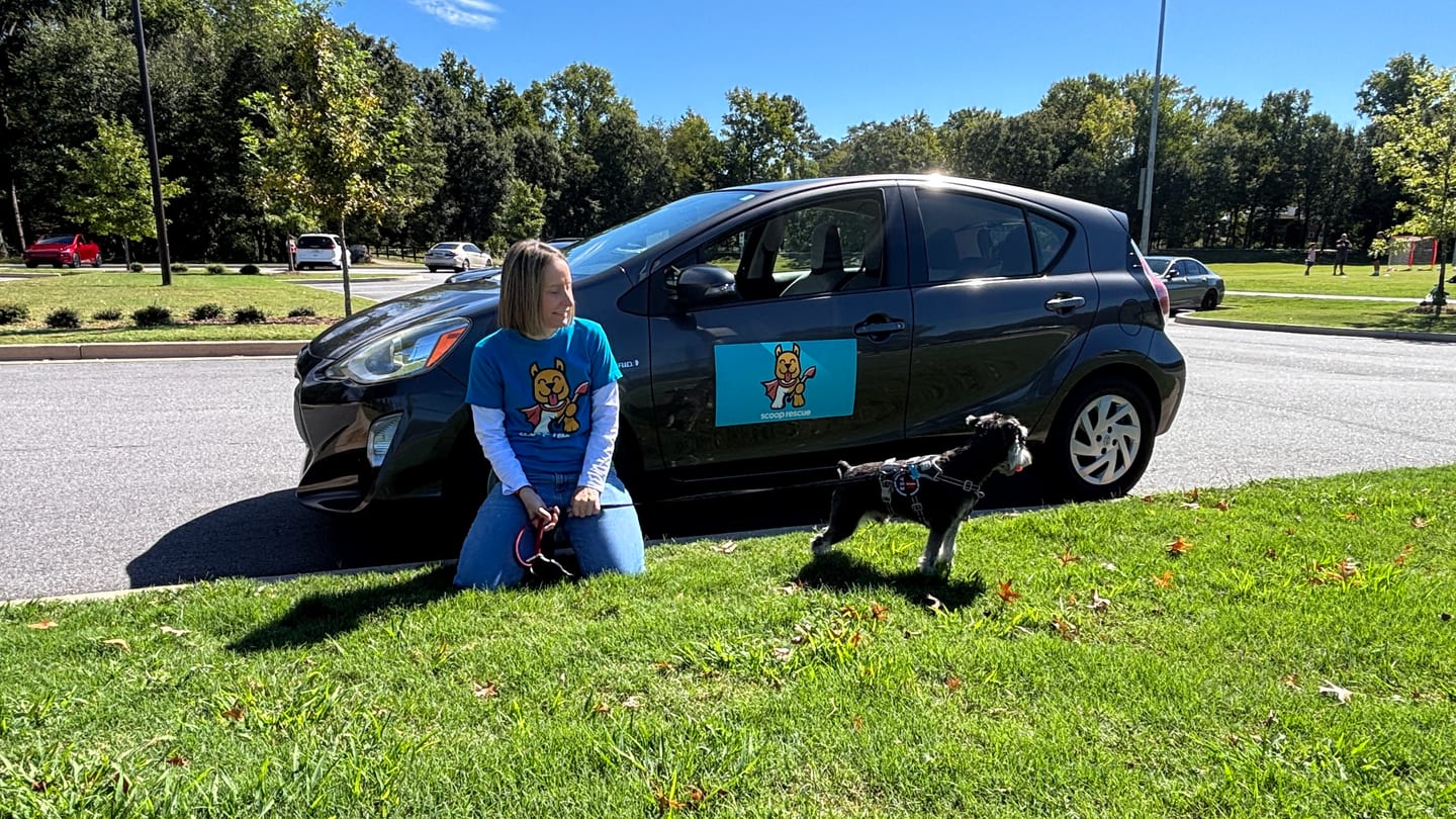 Person with a dog beside a Scoop Rescue-branded car.